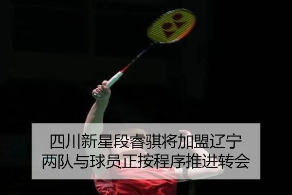 四川新星段睿骐将加盟辽宁 两队与球员正按程序推进转会